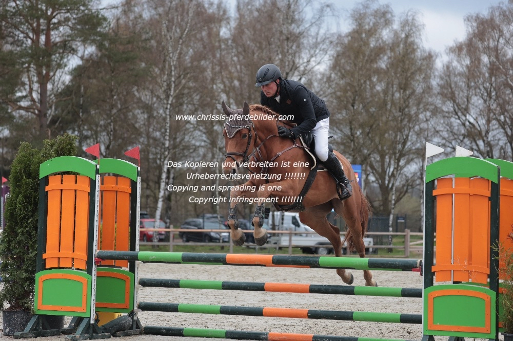 Preview stefan ahlers mit chacolina s magic tack IMG_0396.jpg